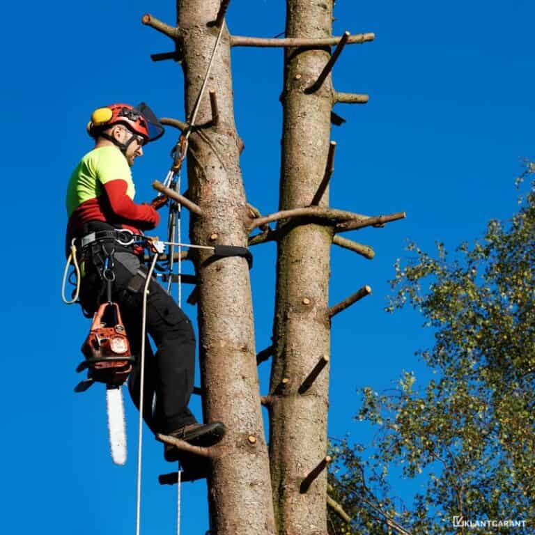 Klantgarant boomverzorger hangen